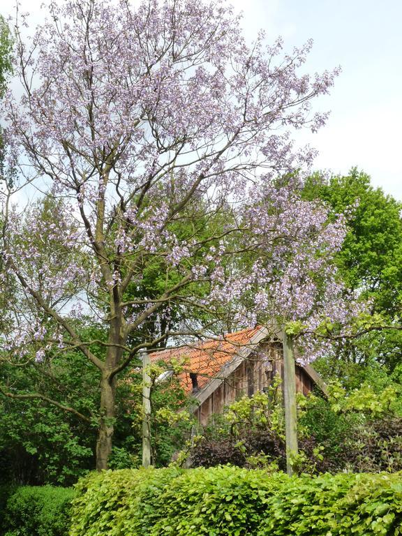 Gasthuys Hongerdyck Villa Bruchterveld Luaran gambar